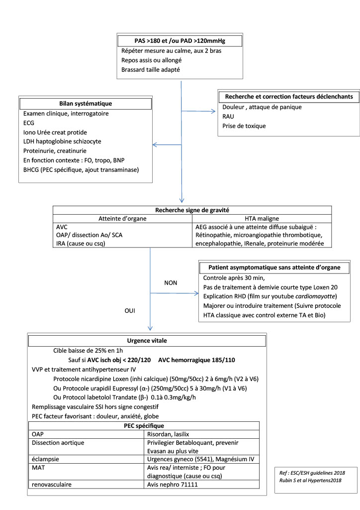 HTA grade 3 protocole1024_1