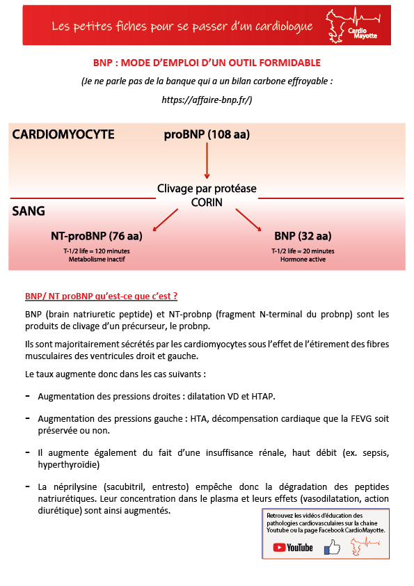 titre fiches-01